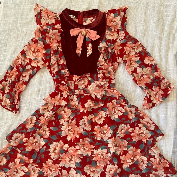 for love & lemons blossom chiffon velvet rose mini dress (small)